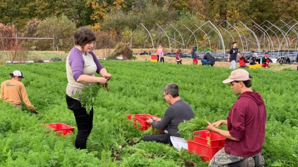 local team building experience farm to table tour hosted by fit city