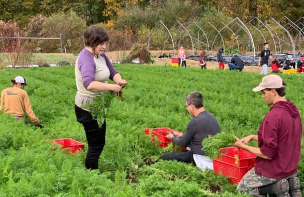 farm feel good 